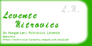 levente mitrovics business card